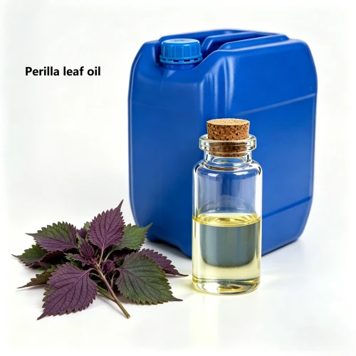 Perilla Leaf Oil 100% Pure Natural Steam Distilled CAS 68132-21-8 Herbal Aroma